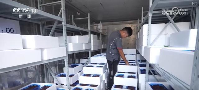 南宫NG28冷链燃动经济“热”力 “中心厨房+食材冷链配送”新业态、新形式加快发(图10)