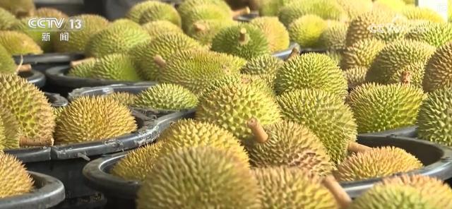 南宫NG28冷链燃动经济“热”力 “中心厨房+食材冷链配送”新业态、新形式加快发(图11)