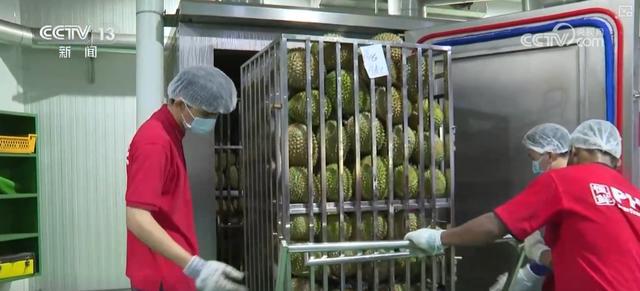 南宫NG28冷链燃动经济“热”力 “中心厨房+食材冷链配送”新业态、新形式加快发(图12)