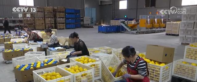 南宫NG28冷链燃动经济“热”力 “中心厨房+食材冷链配送”新业态、新形式加快发(图15)