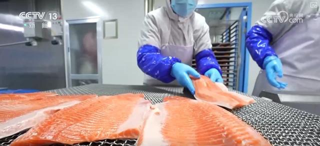 南宫NG28冷链燃动经济“热”力 “中心厨房+食材冷链配送”新业态、新形式加快发(图14)