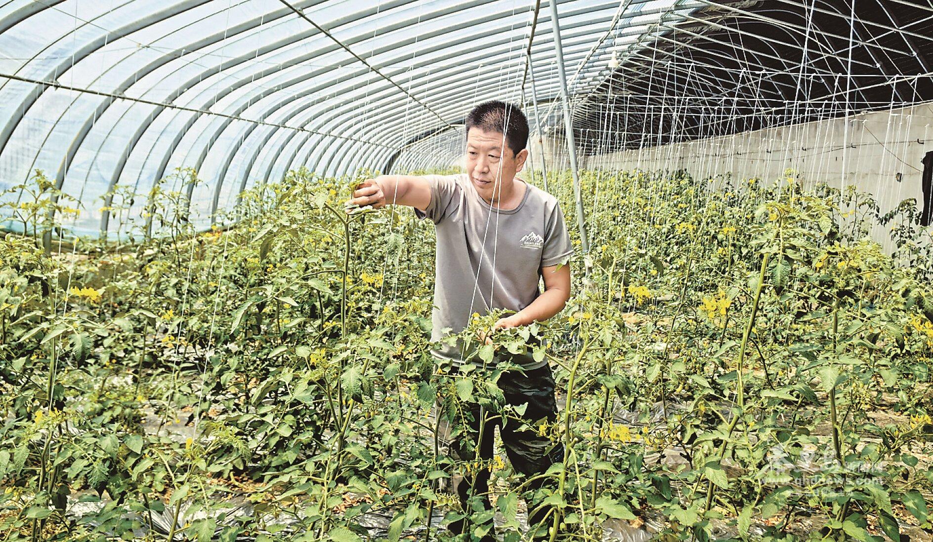 南宫28强自信心 增动能—高质量开展一线报导丨卢龙县蛤泊镇青龙河村 财产兴乡风淳